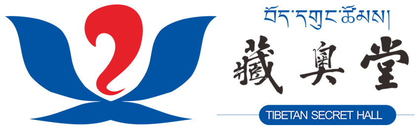 描述